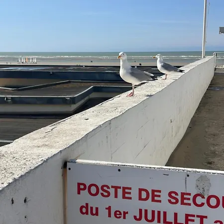 Balcon Vue - 20m Plage, Berck-sur-mer-4 Pers Lejlighed *