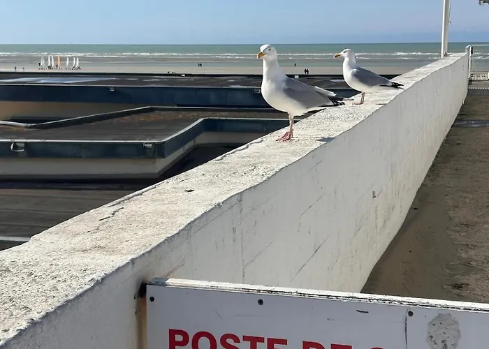 Jolie A 20 M De La Lejlighed *